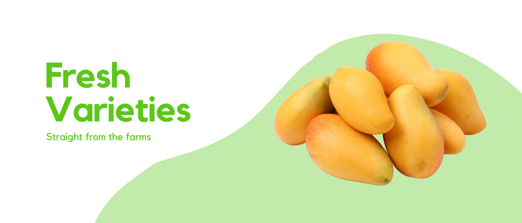 Royal Mangoes Banner (2)